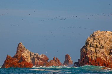 Ballestas Adaları ulusal rezervi, Paracas, Peru 'da bir sürü kuş var.
