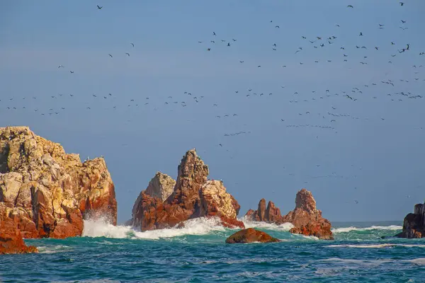 stock image Lots of birds on Ballestas Islands national reserve, Paracas, Peru