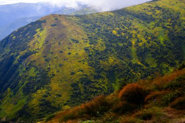 Ukrayna 'daki Hoverla Dağı' nın etrafındaki Karpatlar 'ın inanılmaz manzarası.