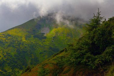 Ukrayna 'daki Hoverla Dağı' nın etrafındaki Karpatlar 'ın inanılmaz manzarası.