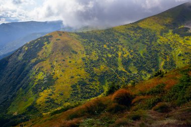 Ukrayna 'daki Hoverla Dağı' nın etrafındaki Karpatlar 'ın inanılmaz manzarası.