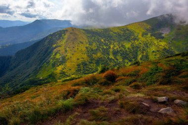 Ukrayna 'daki Hoverla Dağı' nın etrafındaki Karpatlar 'ın inanılmaz manzarası.