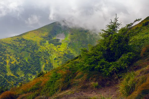 stock image Amazing view of Carpathian Mountains aroung the Hoverla mountain, Ukraine