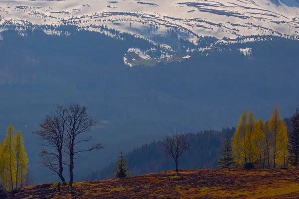 stock image Early spring in Carpathian mountains, Svydovets mountain ridge.