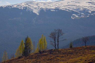 Karpat dağlarında ilkbahar başlarında, Svydovets dağ sırtı.