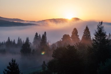 Ukrayna 'daki Karpat dağlarında gün doğumu sisli bir sabah