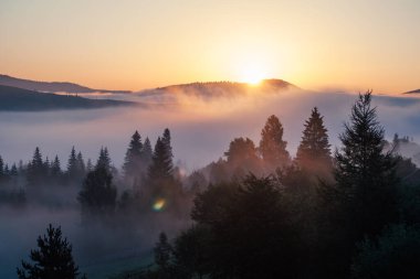 Ukrayna 'daki Karpat dağlarında gün doğumu sisli bir sabah