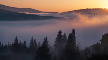 Ukrayna 'daki Karpat dağlarında gün doğumu sisli bir sabah