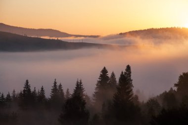 Ukrayna 'daki Karpat dağlarında gün doğumu sisli bir sabah