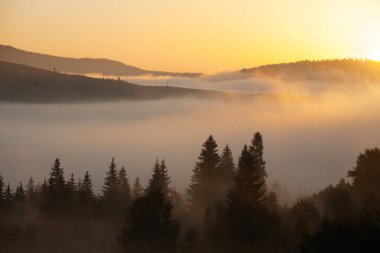 Ukrayna 'daki Karpat dağlarında gün doğumu sisli bir sabah
