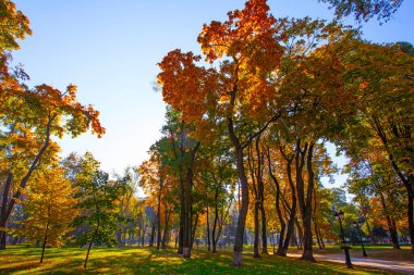 Ukrayna 'nın başkenti Kyiv' deki Maryinskyi parkında...
