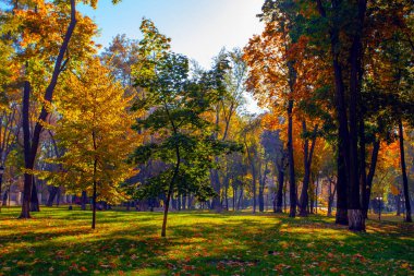 Ukrayna 'nın başkenti Kyiv' deki Maryinskyi parkında...