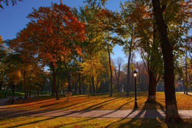 Ukrayna 'nın başkenti Kyiv' deki Maryinskyi parkında...