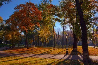 Ukrayna 'nın başkenti Kyiv' deki Maryinskyi parkında...