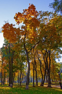 Ukrayna 'nın başkenti Kyiv' deki Maryinskyi parkında...
