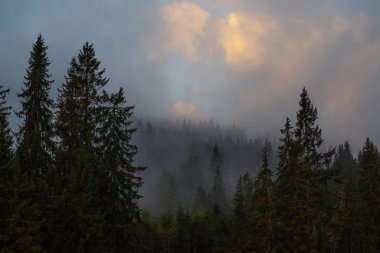 Karpat dağlarında puslu bir sabah, Ukrinae