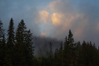 Karpat dağlarında puslu bir sabah, Ukrinae