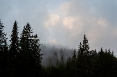 Karpat dağlarında puslu bir sabah, Ukrinae