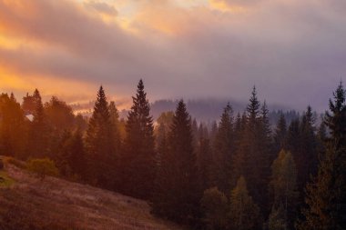 Ukrayna 'daki Karpat dağlarında gün doğumu sisli bir sabah