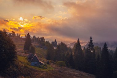 Ukrayna 'daki Karpat dağlarında gün doğumu sisli bir sabah
