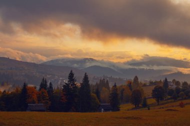 Ukrayna 'daki Karpat dağlarında gün doğumu sisli bir sabah