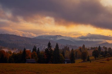 Ukrayna 'daki Karpat dağlarında gün doğumu sisli bir sabah