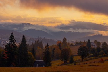 Ukrayna 'daki Karpat dağlarında gün doğumu sisli bir sabah