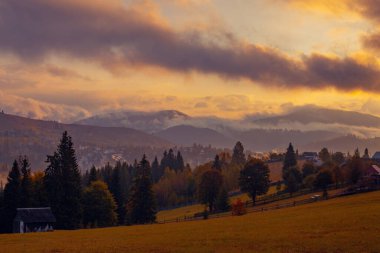 Ukrayna 'daki Karpat dağlarında gün doğumu sisli bir sabah