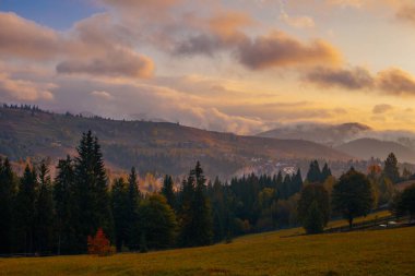 Ukrayna 'daki Karpat dağlarında gün doğumu sisli bir sabah