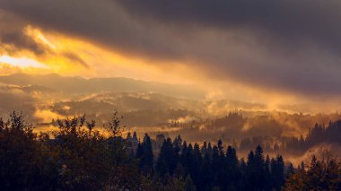 Ukrayna 'daki Karpat dağlarında gün doğumu sisli bir sabah