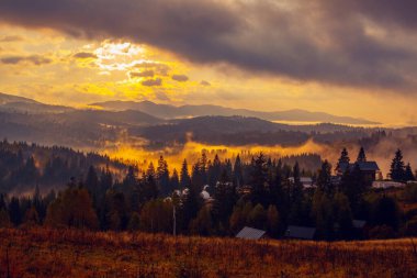 Ukrayna 'daki Karpat dağlarında gün doğumu sisli bir sabah