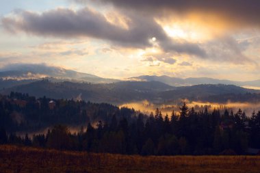Ukrayna 'daki Karpat dağlarında gün doğumu sisli bir sabah