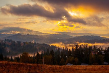 Ukrayna 'daki Karpat dağlarında gün doğumu sisli bir sabah