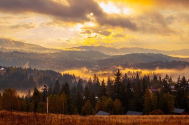 Ukrayna 'daki Karpat dağlarında gün doğumu sisli bir sabah