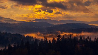 Ukrayna 'daki Karpat dağlarında gün doğumu sisli bir sabah