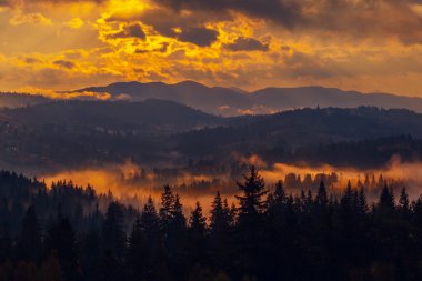 Sunrise misty morning taken in Carpathian mountains, Ukraine clipart