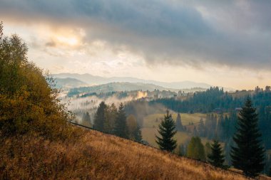 Ukrayna 'daki Karpat dağlarında gün doğumu sisli bir sabah