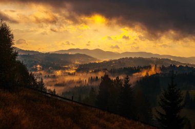 Sunrise misty morning taken in Carpathian mountains, Ukraine clipart