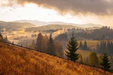 Sunrise misty morning taken in Carpathian mountains, Ukraine clipart