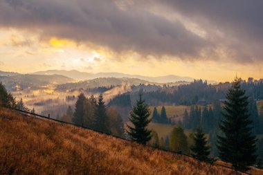 Ukrayna 'daki Karpat dağlarında gün doğumu sisli bir sabah