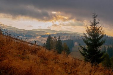 Ukrayna 'daki Karpat dağlarında gün doğumu sisli bir sabah