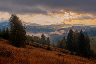 Ukrayna 'daki Karpat dağlarında gün doğumu sisli bir sabah