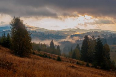 Ukrayna 'daki Karpat dağlarında gün doğumu sisli bir sabah