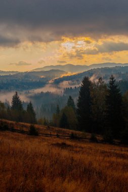 Ukrayna 'daki Karpat dağlarında gün doğumu sisli bir sabah