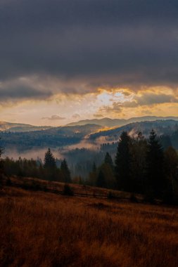 Ukrayna 'daki Karpat dağlarında gün doğumu sisli bir sabah