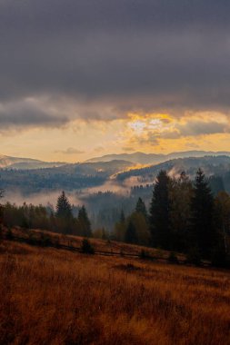 Ukrayna 'daki Karpat dağlarında gün doğumu sisli bir sabah