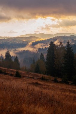Ukrayna 'daki Karpat dağlarında gün doğumu sisli bir sabah