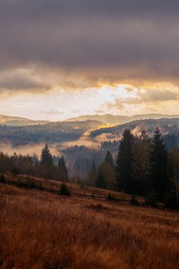 Ukrayna 'daki Karpat dağlarında gün doğumu sisli bir sabah