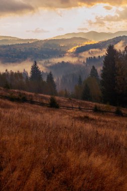 Ukrayna 'daki Karpat dağlarında gün doğumu sisli bir sabah