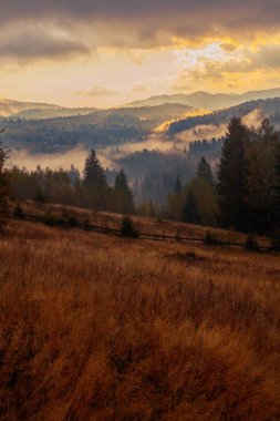 Ukrayna 'daki Karpat dağlarında gün doğumu sisli bir sabah